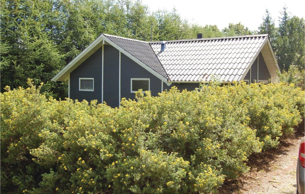 Pet Friendly Home In Oksbol With Wifi Екстериор снимка
